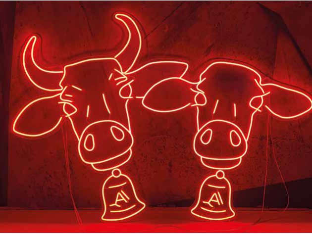 Insegna Forme LED NEON con strip LED in silicone
