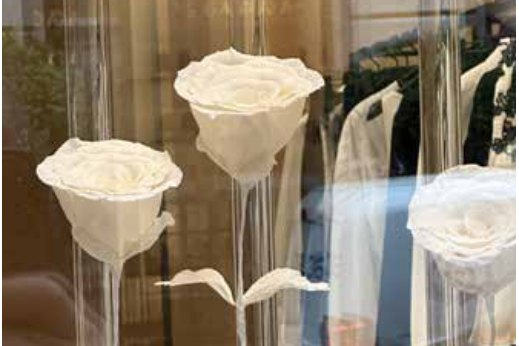 Allestimento vetrina con fiori e steli in plexiglas